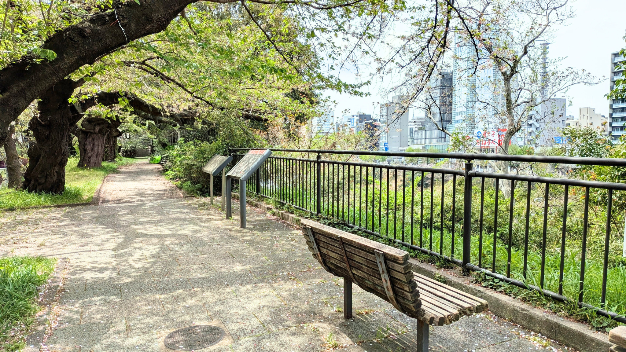 結婚相談所での交際の雰囲気