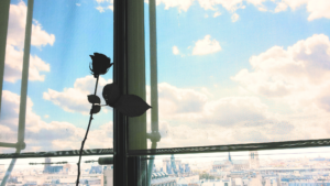 自立した女性の結婚する理由