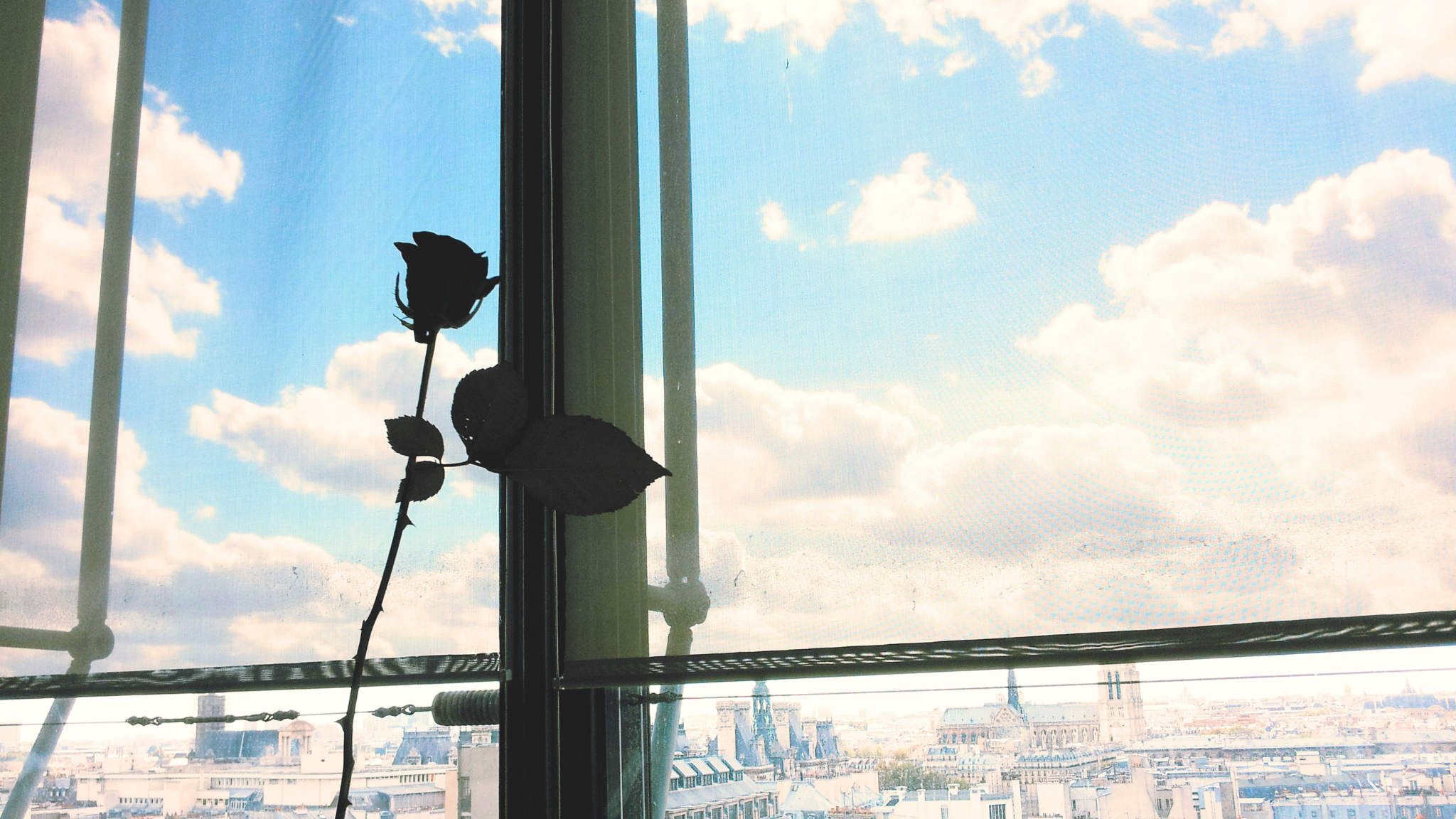 自立した女性の結婚する理由